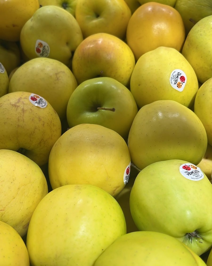 Apple Golden