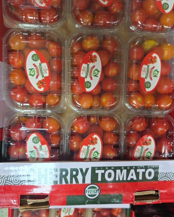 Cherry Tomato