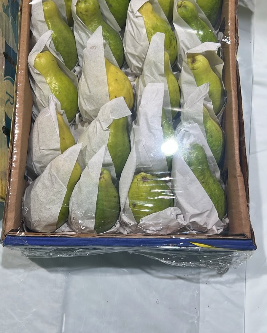 Guava (Box, approx. 1.5 kg)
