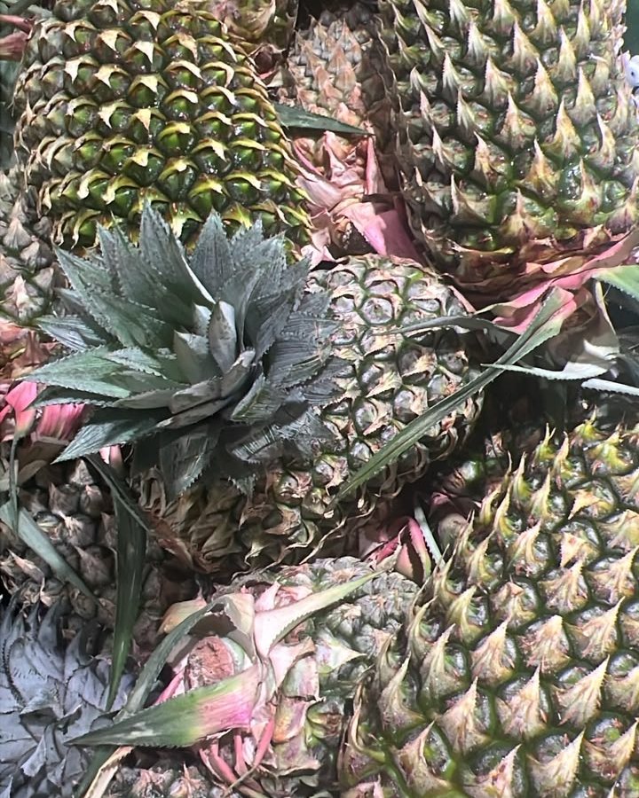 Pineapple