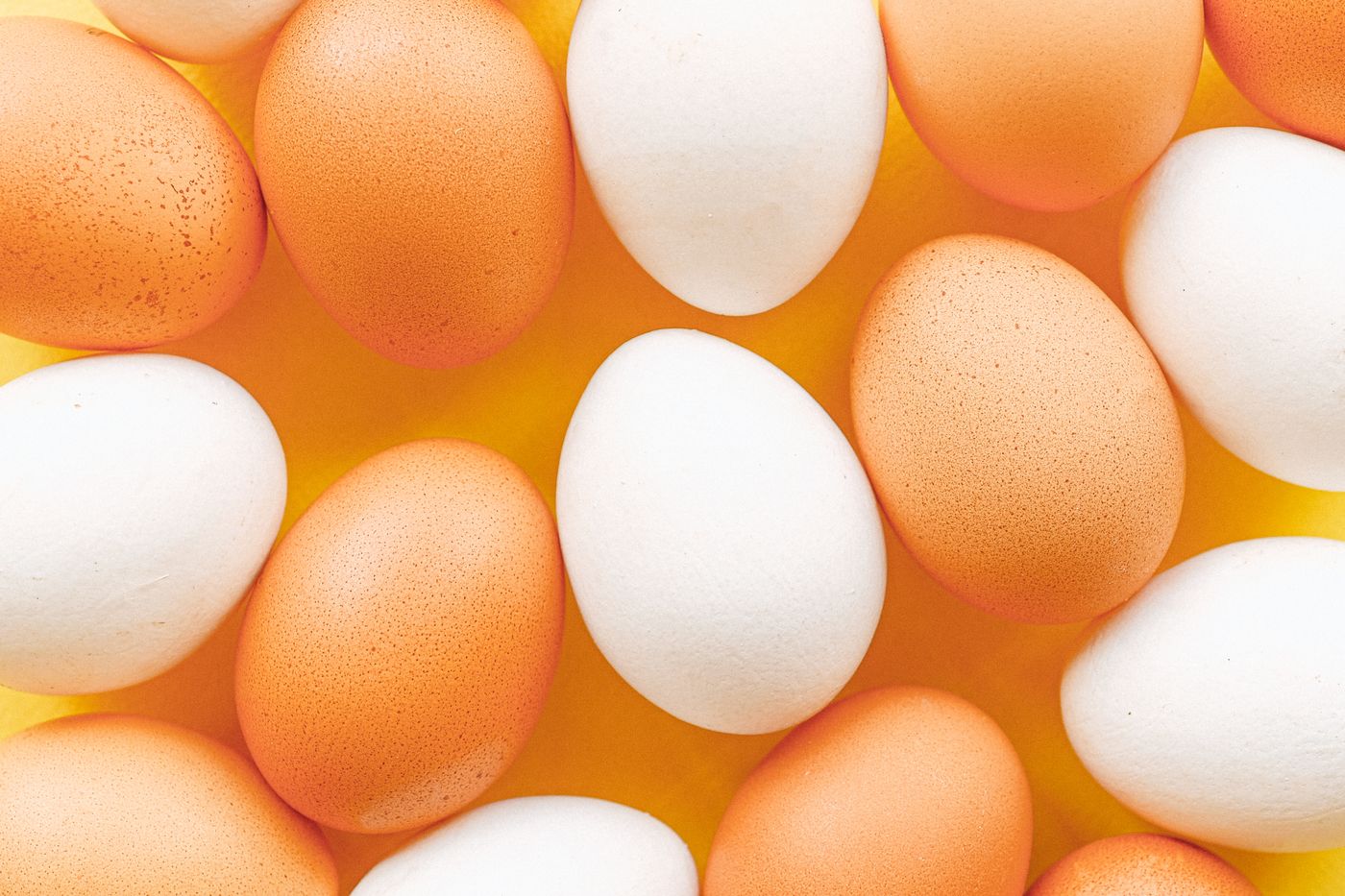 Egg Trading