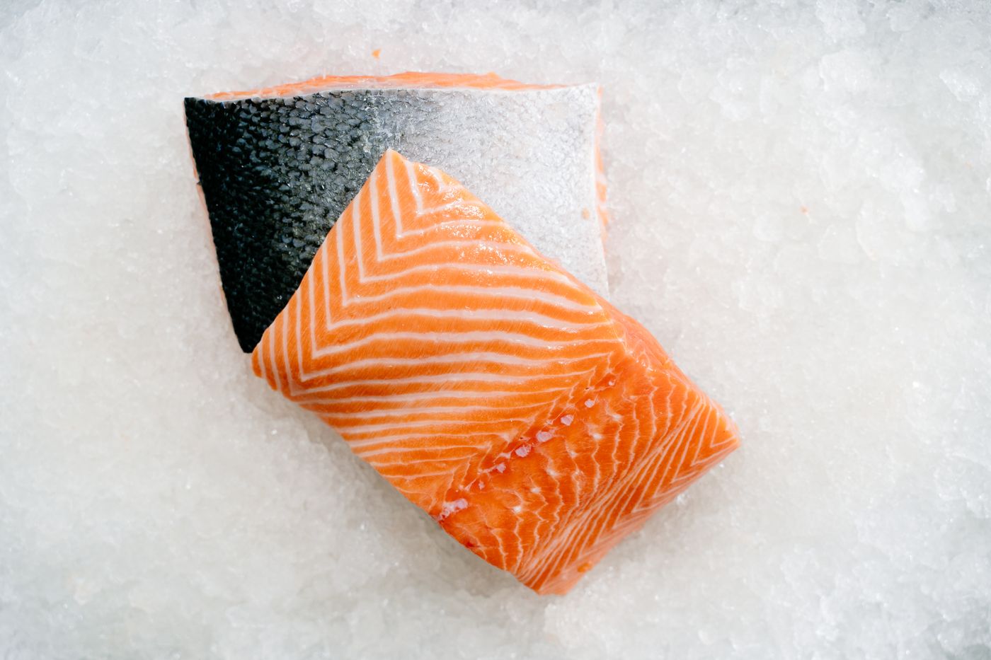 Salmon Fillet